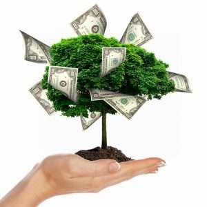Blog money tree