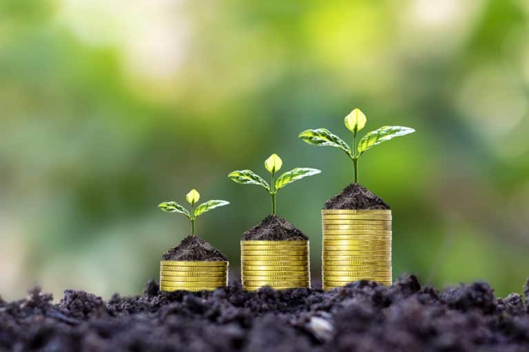 What is whole life insurance? How does whole life insurance work?
